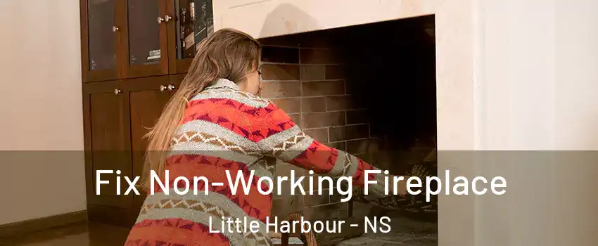  Fix Non-Working Fireplace Little Harbour - NS