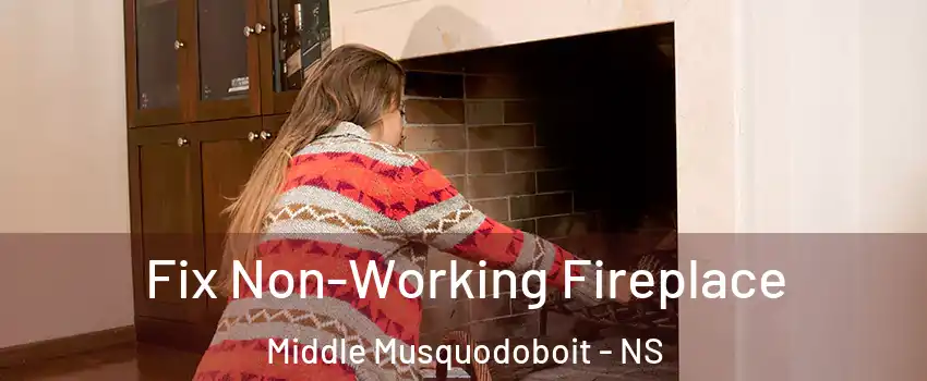  Fix Non-Working Fireplace Middle Musquodoboit - NS