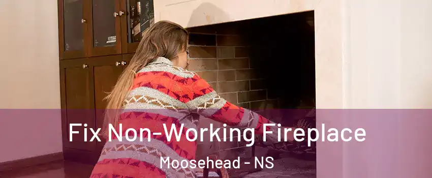  Fix Non-Working Fireplace Moosehead - NS