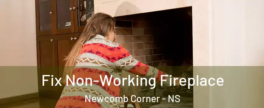 Fix Non-Working Fireplace Newcomb Corner - NS