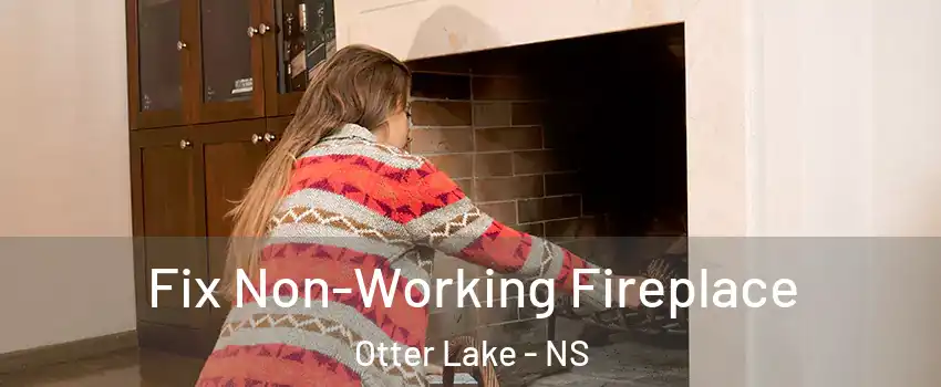  Fix Non-Working Fireplace Otter Lake - NS