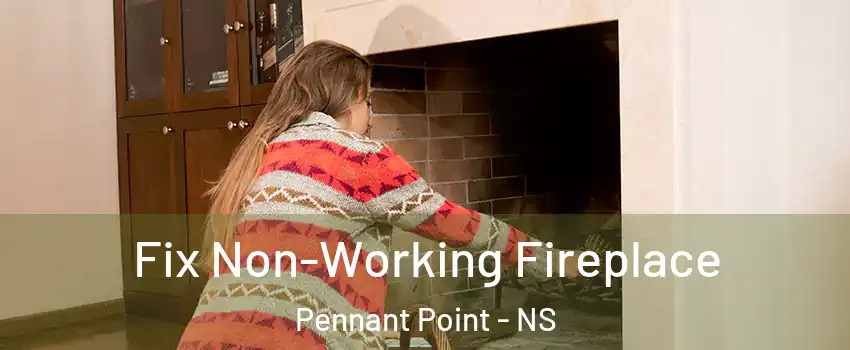  Fix Non-Working Fireplace Pennant Point - NS