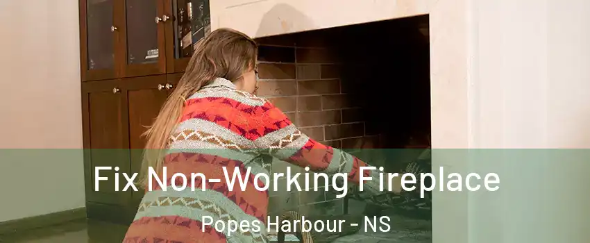  Fix Non-Working Fireplace Popes Harbour - NS