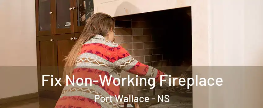  Fix Non-Working Fireplace Port Wallace - NS