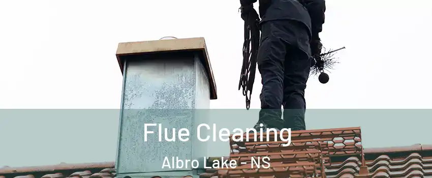  Flue Cleaning Albro Lake - NS