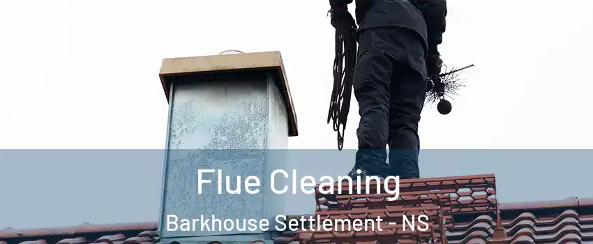  Flue Cleaning Barkhouse Settlement - NS
