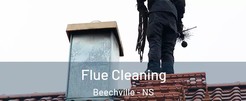  Flue Cleaning Beechville - NS