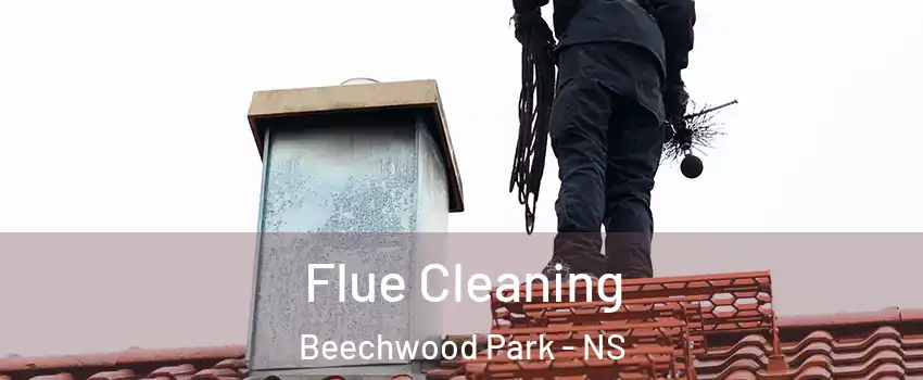  Flue Cleaning Beechwood Park - NS