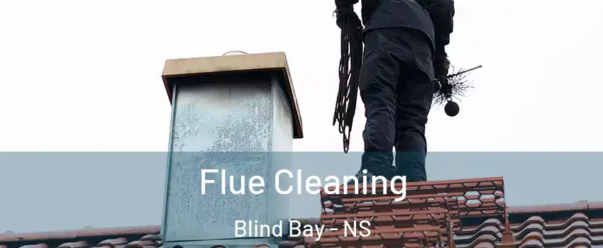  Flue Cleaning Blind Bay - NS