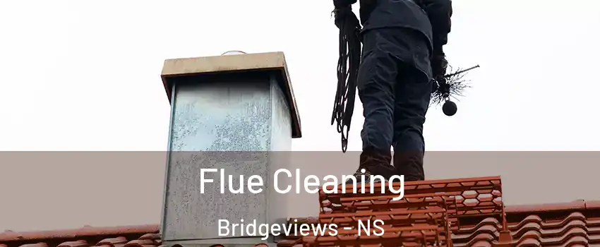  Flue Cleaning Bridgeviews - NS