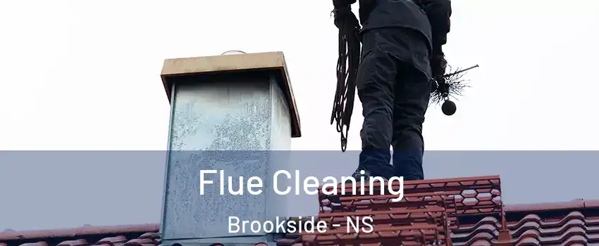  Flue Cleaning Brookside - NS