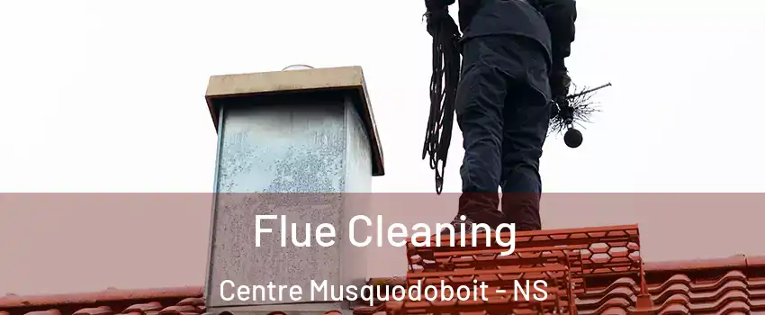  Flue Cleaning Centre Musquodoboit - NS