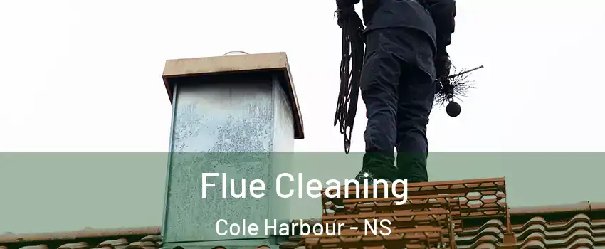  Flue Cleaning Cole Harbour - NS