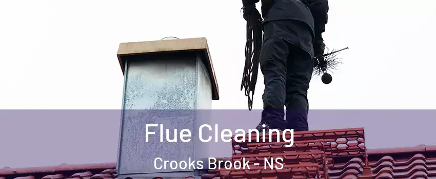  Flue Cleaning Crooks Brook - NS