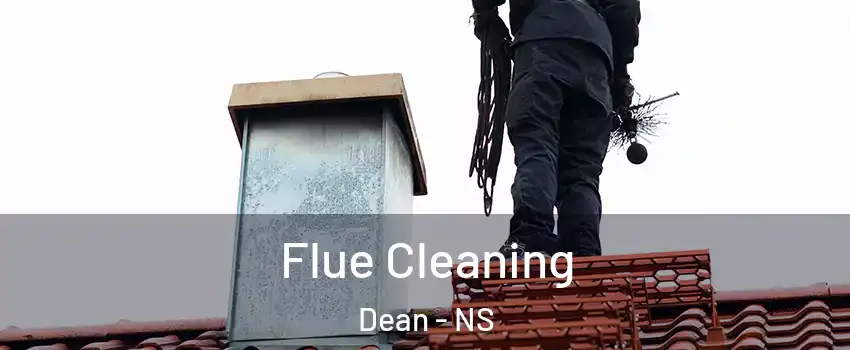  Flue Cleaning Dean - NS