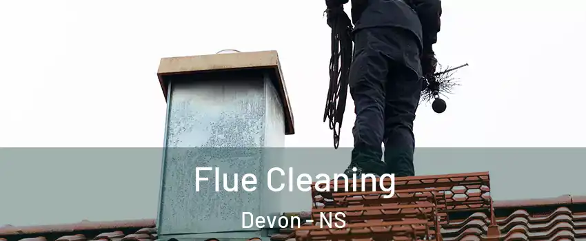  Flue Cleaning Devon - NS