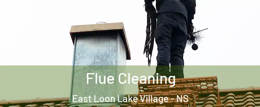  Flue Cleaning East Loon Lake Village - NS