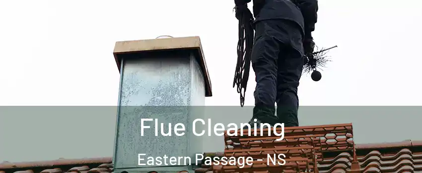  Flue Cleaning Eastern Passage - NS