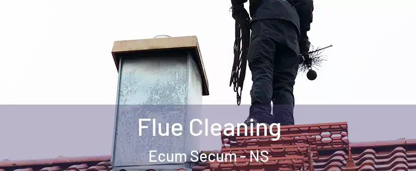  Flue Cleaning Ecum Secum - NS