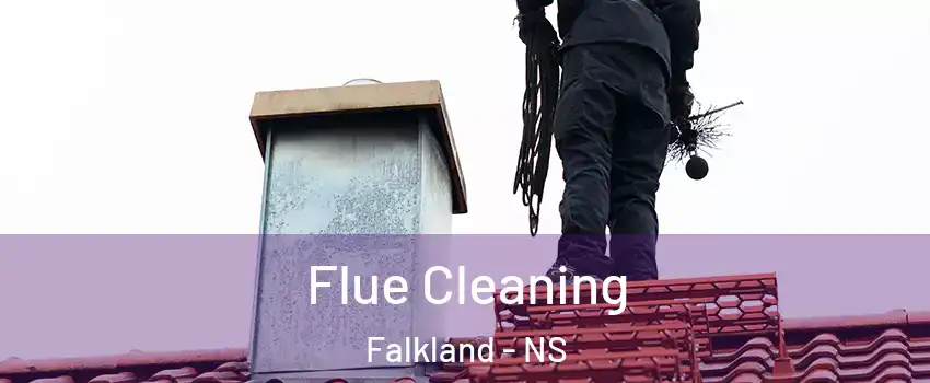  Flue Cleaning Falkland - NS