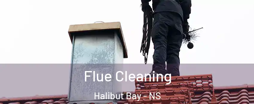  Flue Cleaning Halibut Bay - NS
