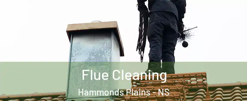  Flue Cleaning Hammonds Plains - NS