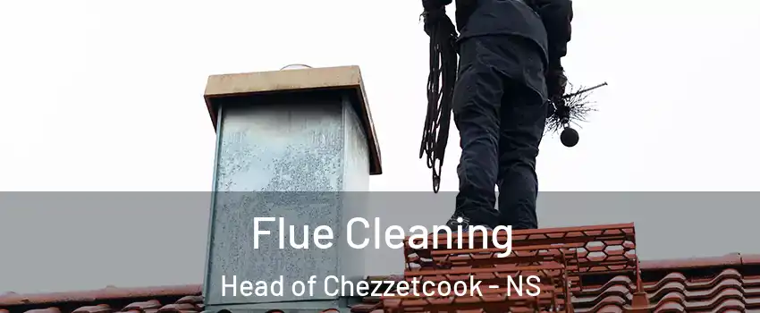  Flue Cleaning Head of Chezzetcook - NS