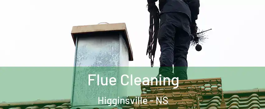  Flue Cleaning Higginsville - NS