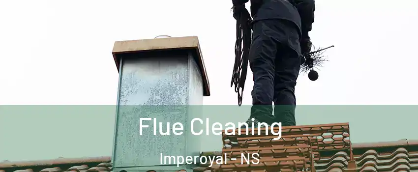  Flue Cleaning Imperoyal - NS