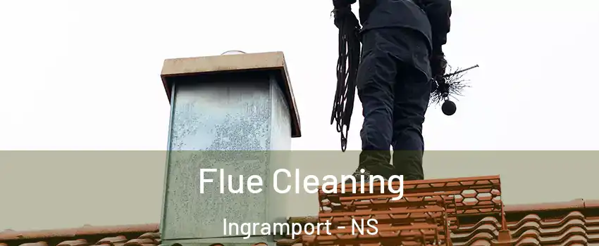  Flue Cleaning Ingramport - NS