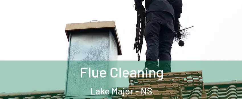  Flue Cleaning Lake Major - NS
