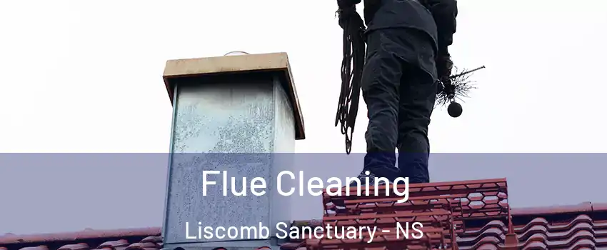  Flue Cleaning Liscomb Sanctuary - NS