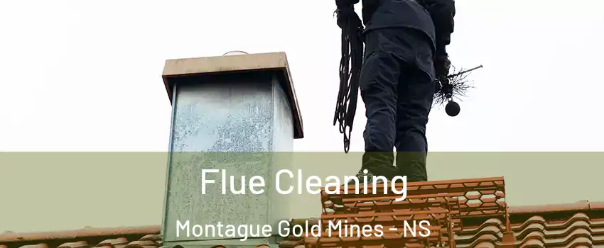  Flue Cleaning Montague Gold Mines - NS