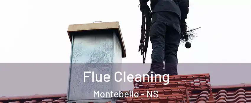  Flue Cleaning Montebello - NS