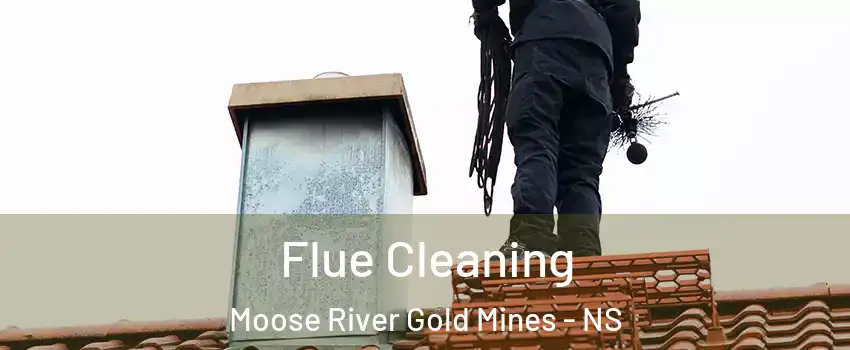  Flue Cleaning Moose River Gold Mines - NS
