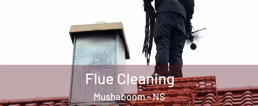  Flue Cleaning Mushaboom - NS