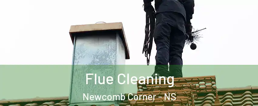  Flue Cleaning Newcomb Corner - NS