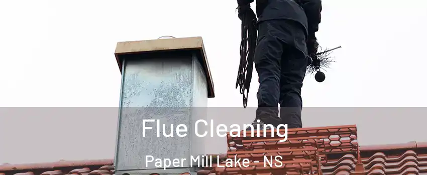  Flue Cleaning Paper Mill Lake - NS