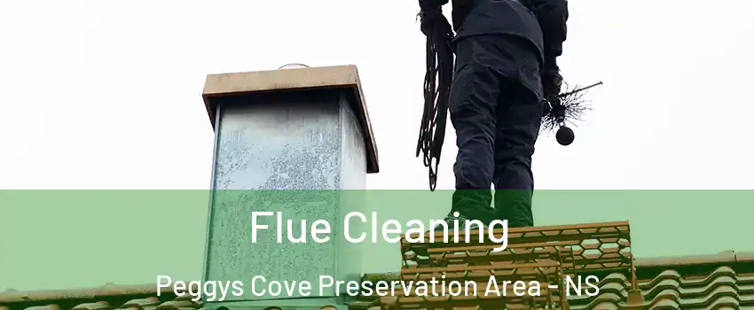  Flue Cleaning Peggys Cove Preservation Area - NS