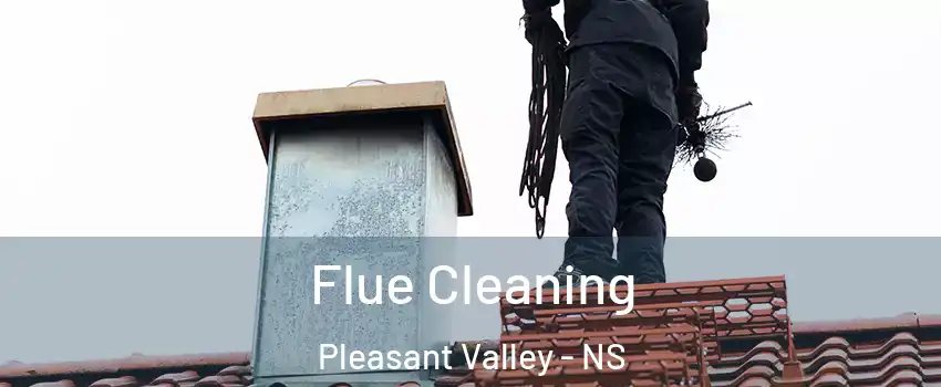  Flue Cleaning Pleasant Valley - NS