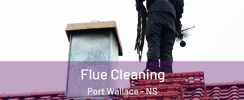  Flue Cleaning Port Wallace - NS
