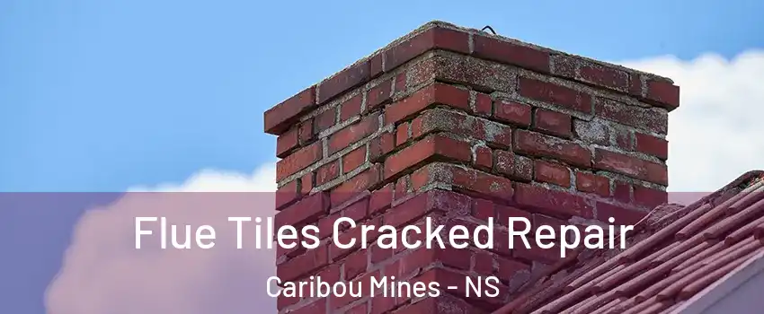  Flue Tiles Cracked Repair Caribou Mines - NS