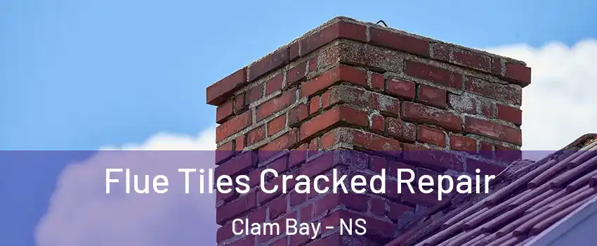  Flue Tiles Cracked Repair Clam Bay - NS