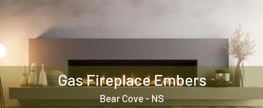  Gas Fireplace Embers Bear Cove - NS