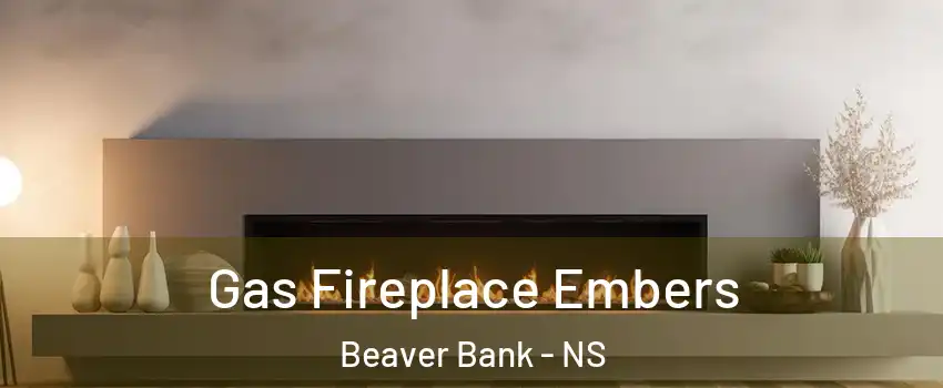  Gas Fireplace Embers Beaver Bank - NS