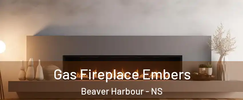  Gas Fireplace Embers Beaver Harbour - NS