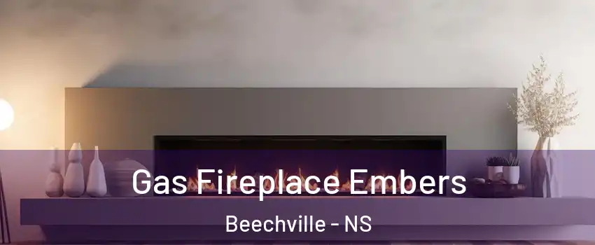  Gas Fireplace Embers Beechville - NS