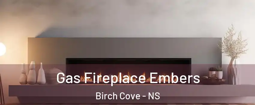  Gas Fireplace Embers Birch Cove - NS