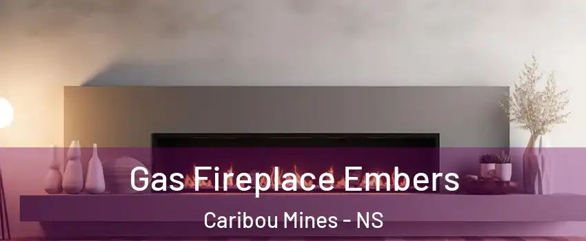  Gas Fireplace Embers Caribou Mines - NS