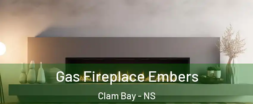  Gas Fireplace Embers Clam Bay - NS
